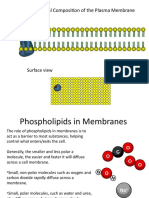 Components of Cell Membranes