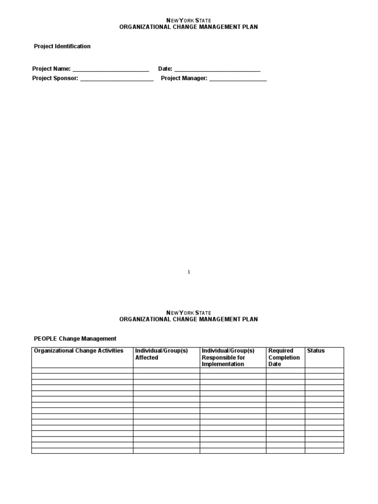 New York State Change Management Plan | PDF