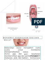 Lembar Balik Perawatan Gigi Dan Mulut