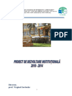ProiectDezvoltareInstitutionala.doc