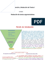 Ejemplo de Esquema y Redacción de Párrafos PDF