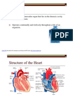 Heart -  Revision Doc [06Nov'10]