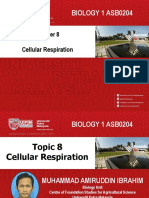 Topic 8-Cellular Respiration PART 1,2,3 - Student