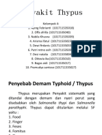 PGM KEL 4 (Penyakit Thypus)