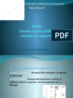 5.oasele Si Articulatiile Membrului Superior