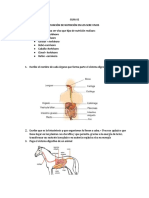 Función de Nutrición