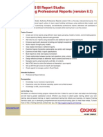 Detailed Cognos 8 BI Authoring Professional Reports (Version 8.3)