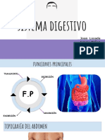 Digestivo