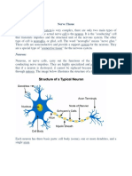 Nerve Tissue
