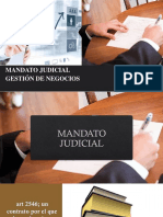 3 Mandato y G. Negocios