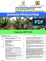 Banana Production