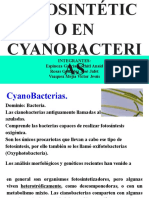 Aparato Fotosintetico en Cyanobacterias