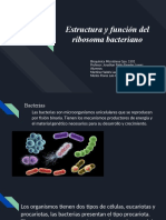 Estructura y Función Del Ribosoma Bacteriano
