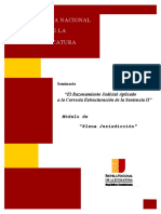 Estructuracion de Sentencia II - Plena PDF
