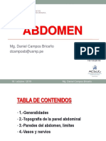 Abdomen Parietal, Peritoneo y Región Inguinal PDF