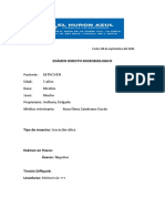 Bethoven PDF
