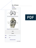 Lower Extremity of Femur: Jump To Navigation Jump To Search