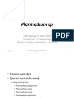 Plasmodium SP: Sitti Wahyuni, MD, PHD