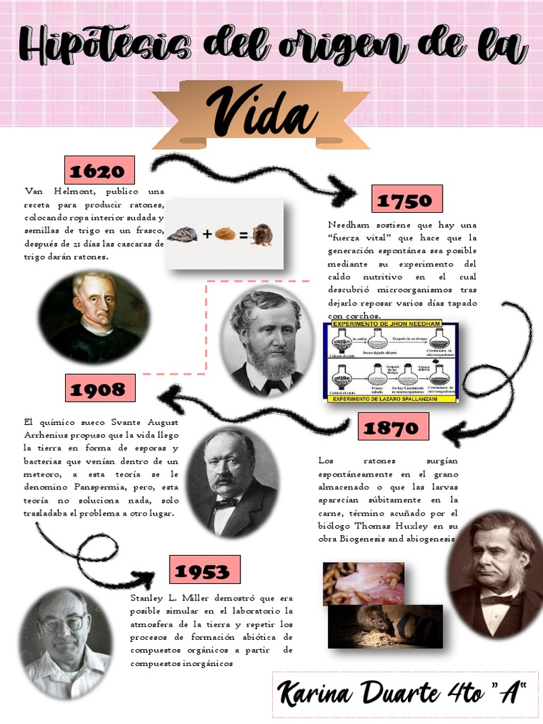Teoras Del Origen Y Evolucin De La Vida Timeline 768x932