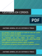 306400244-Cestodos-en-Cerdos.pdf