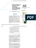 Nuevas Pruebas Del Efecto de La Ivermectina en El Suelo