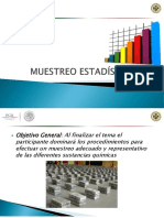 Muestreo Estadistico 2013 PDF