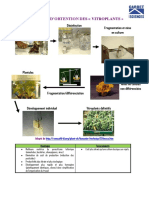 Les vitroplants.pdf