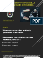 Elementos Constitutivos de Una PPR