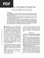 Carpentier Mitral Valve Classification | PDF | Heart Valve | Thorax ...