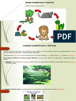 Diapositivas Cadenas Tróficas o Alimenticias