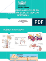 Clase 7 PDF