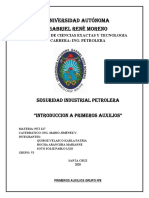 T6-INFORME PRIMEROS AUXILIOS GRUPO VI-Revisado