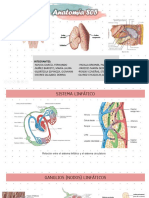 ANATOMIA 