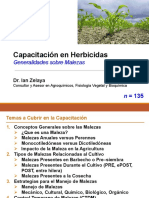 Ian - Zelaya-Fisiología Vegetal y Modo Accion Herbicidas PDF