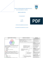 HNE - Roberth PDF