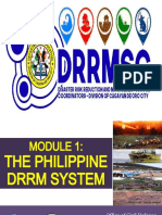 Philippine DRRM System