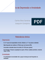 Fisiopatologia Da Depressão CBS JC Out14 PDF