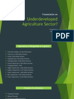 Underdeveloped Agriculture Sector