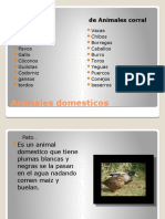 Animales domesticos