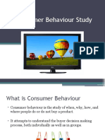 Consumer Behaviour Study