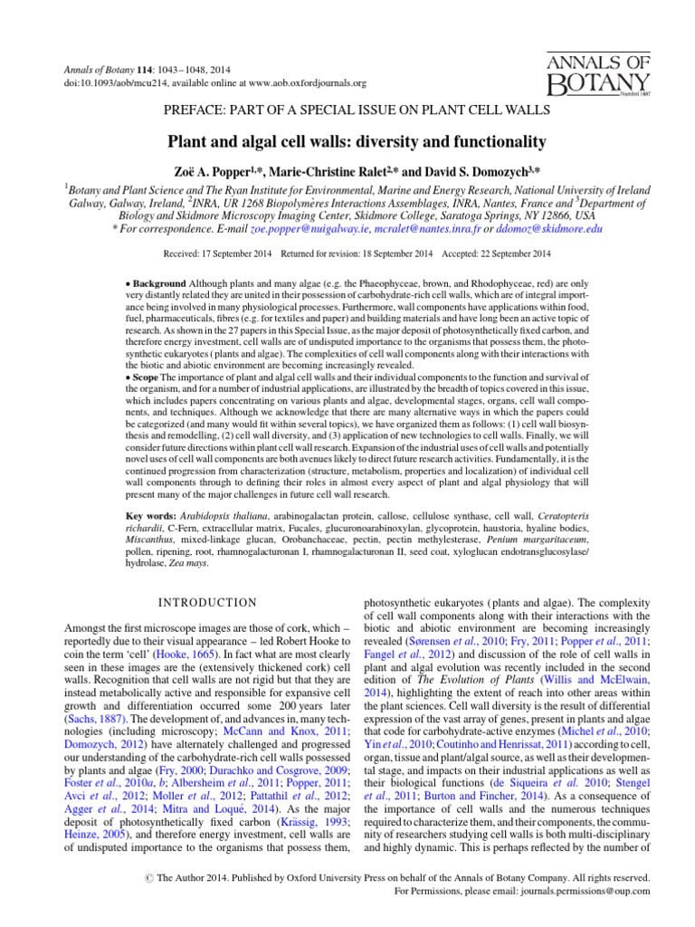 Plant and Algal Cell Walls PDF PDF Cell Wall Plants