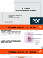 Metabolismo de los lípidos (1).pptx