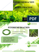 Fitorremediación y biofiltración: tecnologías sustentables para la depuración de contaminantes