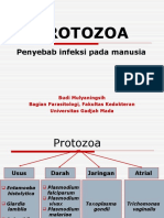 protozoa.ppt