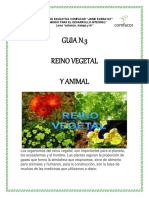 Guia N.3 Reino Vegetal y Animal PDF