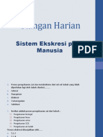 Sistem Ekskresi Manusia