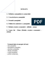 Somajul - Docx Versiunea 1