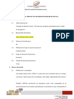 Informe Final RS III PDF