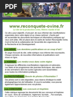 Flyer Reconquete 2010 BD