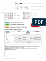 SNG Basic Handout Es Op PDF